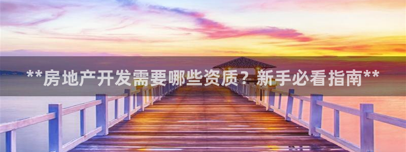 万向娱乐老板