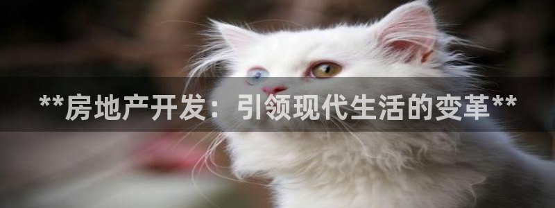 万向娱乐网址是什么