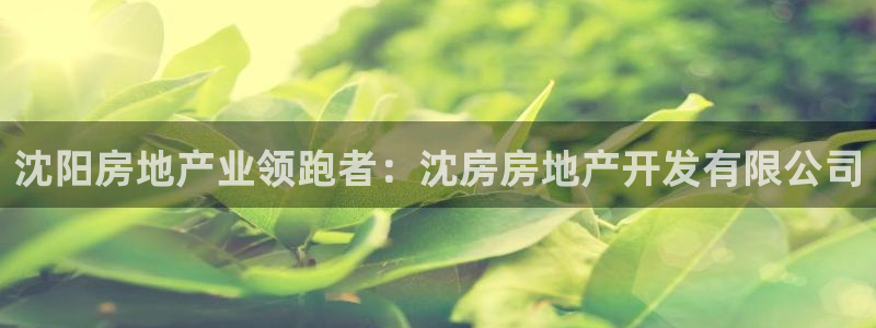 万向娱乐代理好看视频是真的吗