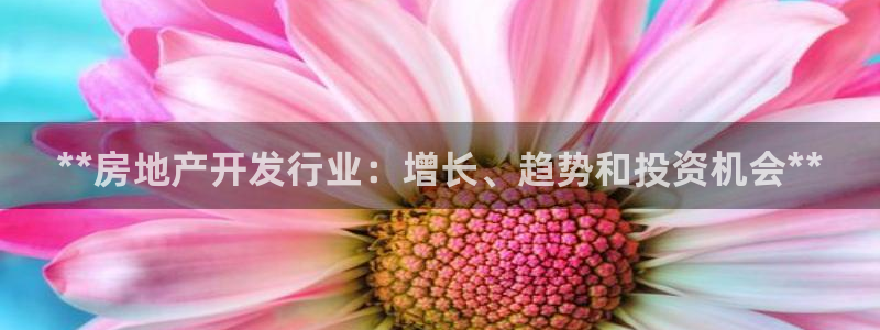 万向娱乐是哪个旗下