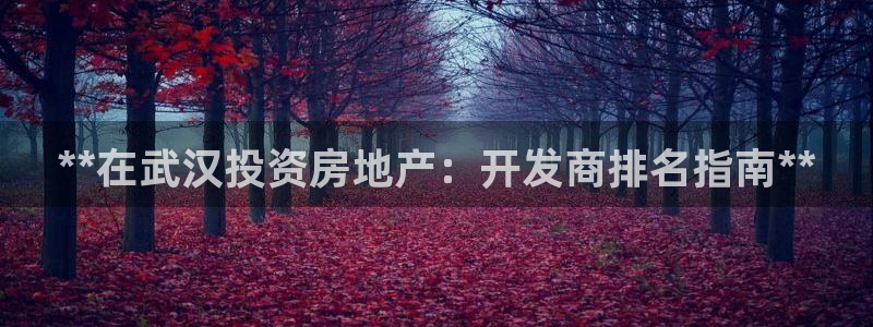 万向娱乐挂机软件