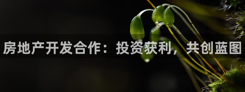 万向娱乐是野鸡台吗