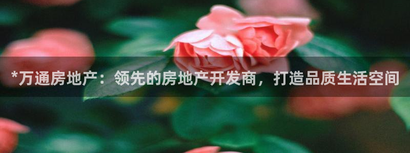 万向娱乐代理好看视频是真的吗