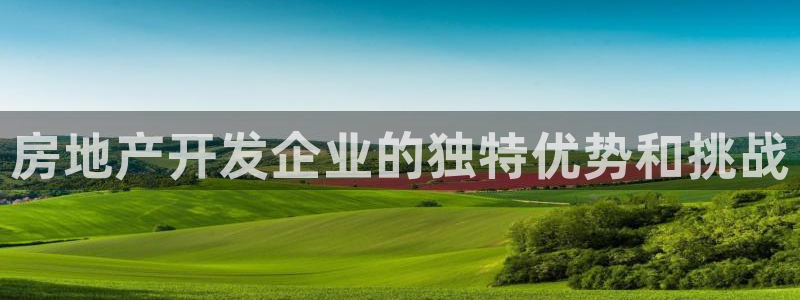 万向娱乐王者荣耀
