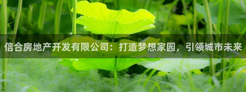 万向娱乐平台代理多少钱一年