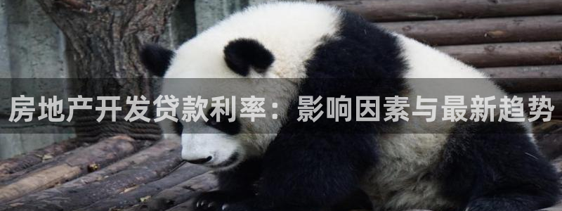 万向娱乐平台好不