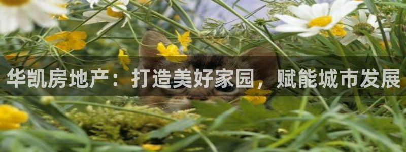 万向娱乐是哪个旗下