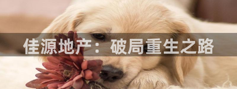 万向娱乐app下载安装