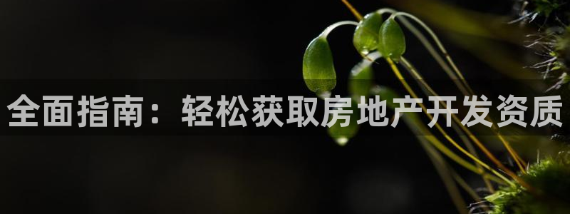 万向娱乐的494o3 主管