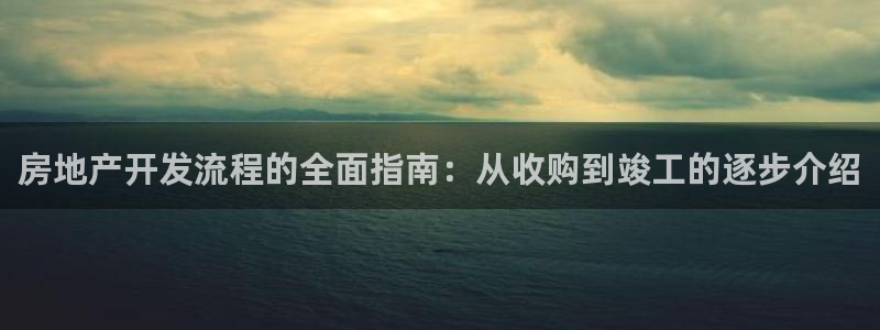 万向娱乐挂机软件