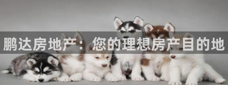 万向娱乐招商