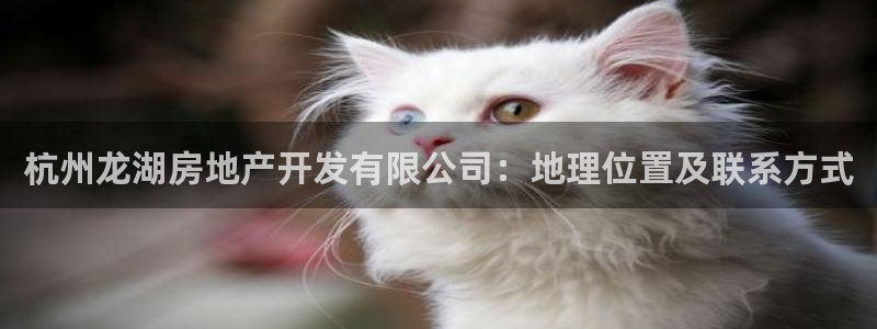 万向娱乐官网