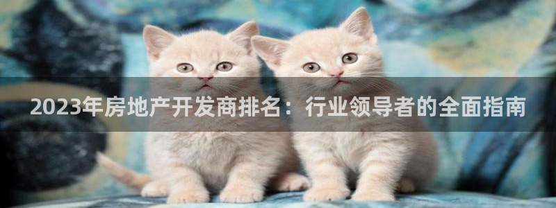 万能娱乐平台直招代理