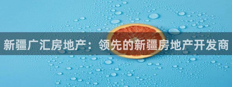 万向娱乐老板