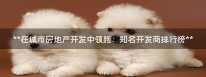 万向娱乐挂机