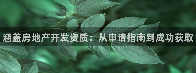 万向娱乐平台代理怎么做