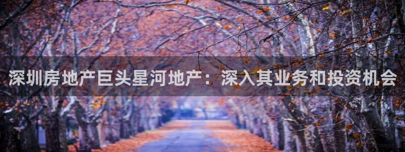 万象游戏代理