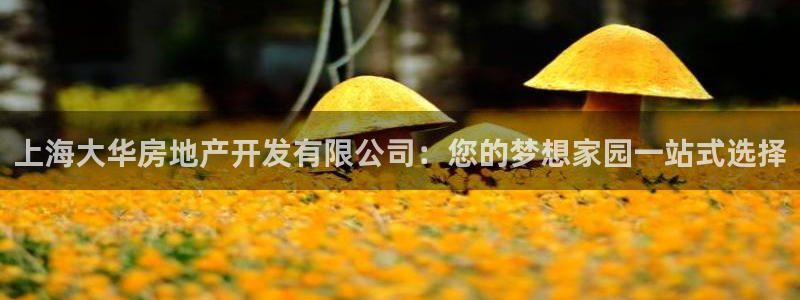 万象游戏代理