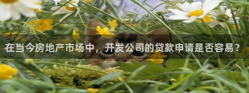 万象游戏代理