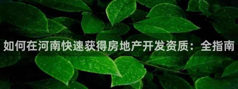 万向娱乐是哪个旗下