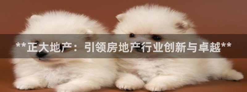 万向娱乐挂机
