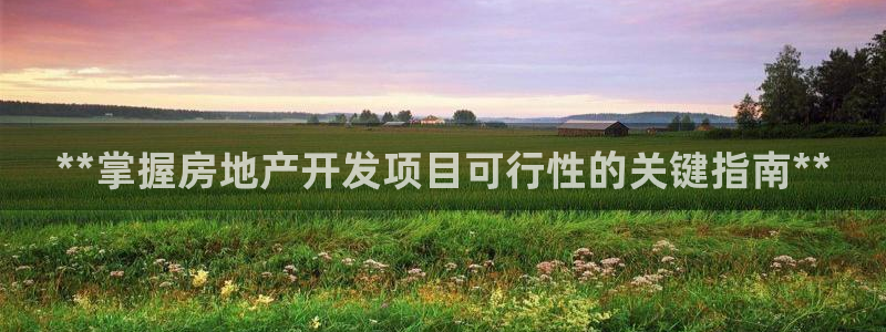 万向娱乐挂机软件
