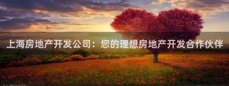 万向娱乐技术