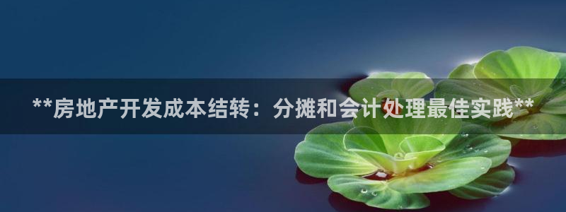 万向娱乐挂机