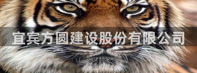 万向娱乐是野鸡台吗