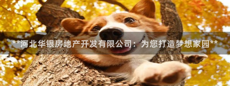 万向娱乐公司 585.34I 娱乐