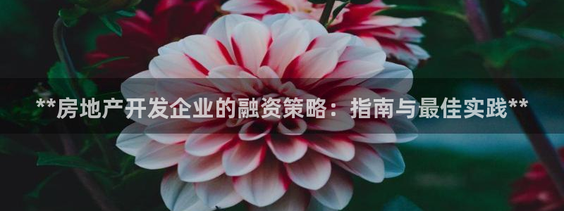万向娱乐公司 585.34I 娱乐