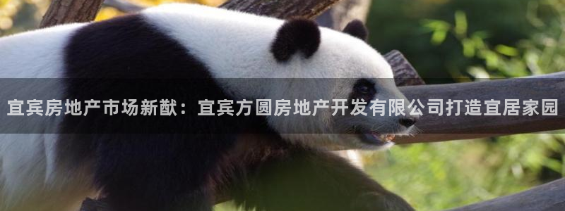万向娱乐首页