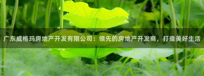 万向娱乐王者荣耀