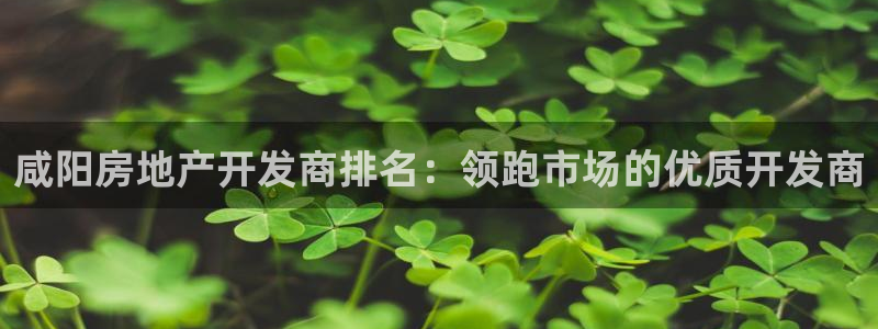 万象游戏代理