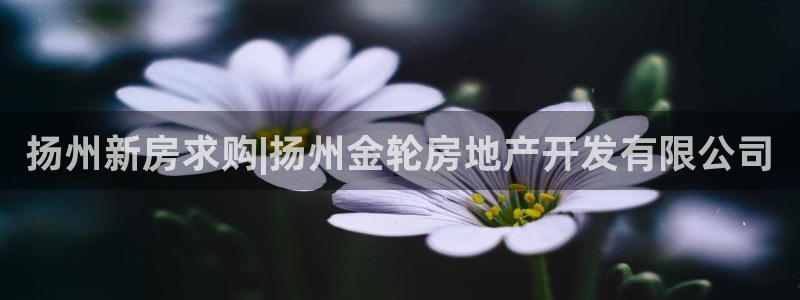 万向娱乐官网网址是多少