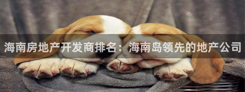 万向娱乐网址是什么