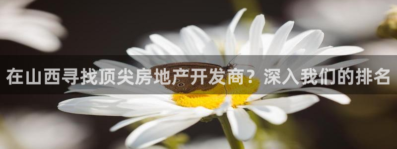 万向娱乐app下载