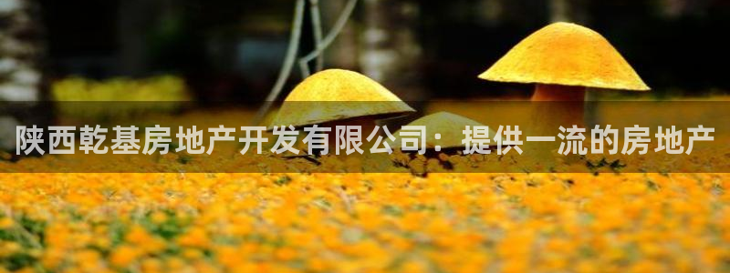 万向娱乐登陆