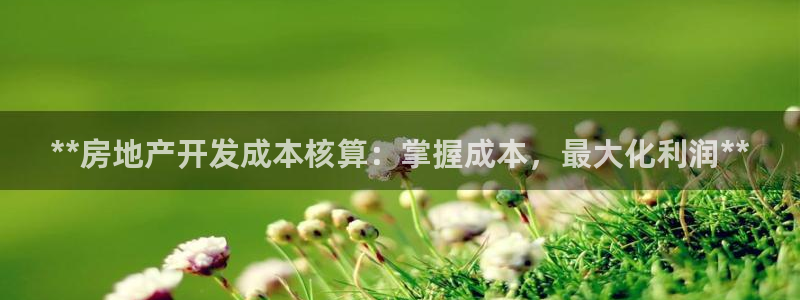 万向娱乐平台代理多少钱