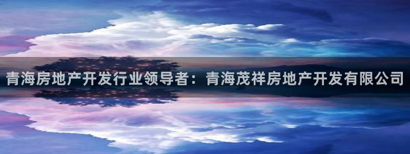 万向娱乐平台代理多少钱