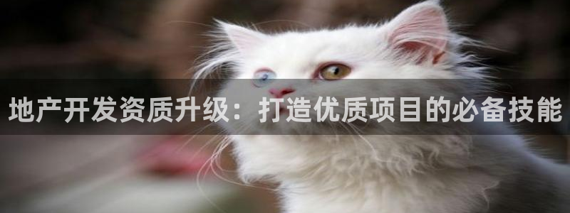 万向娱乐网址是什么
