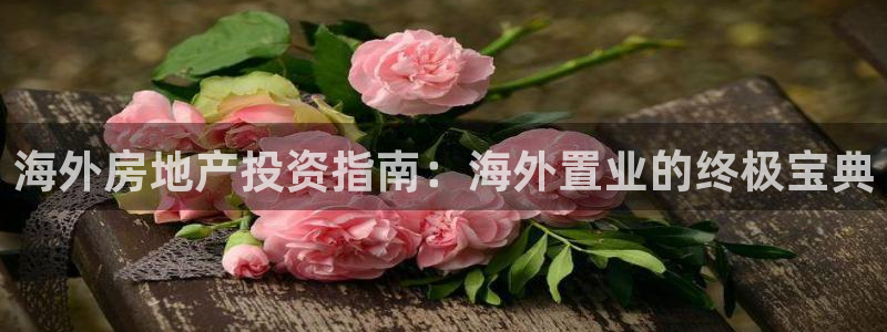 万向娱乐官网网址是多少