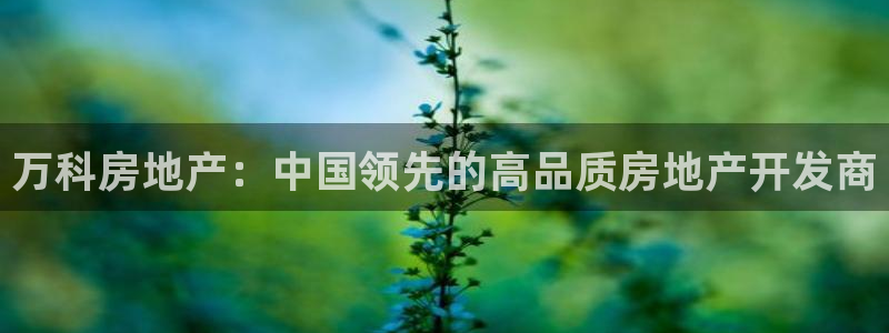 万向娱乐平台代理多少钱一个