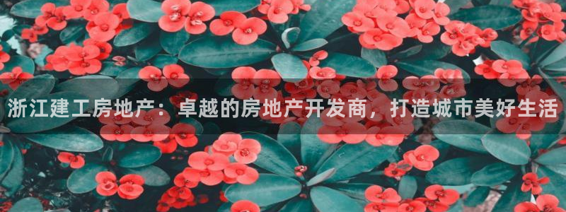 万向娱乐平台代理多少钱一年