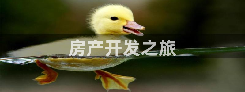 万向娱乐官网下载