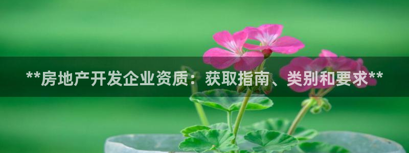 万向娱乐平台代理怎么样啊