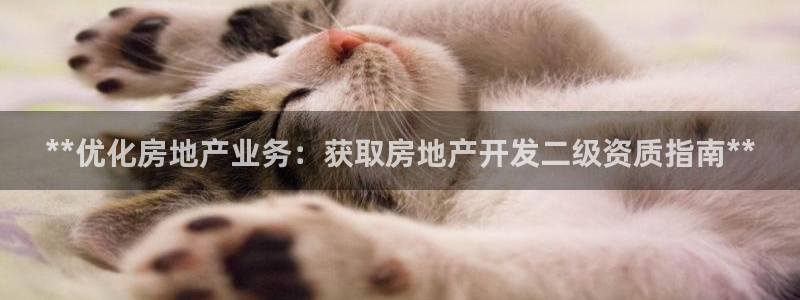 万向娱乐平台代理怎么样可靠吗