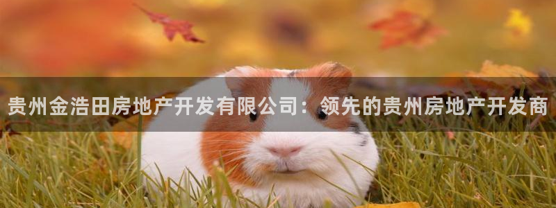万向娱乐是哪个旗下