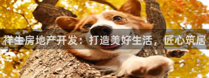 万向娱乐平台代理怎么做的