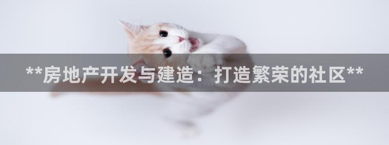 万向娱乐挂机